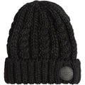 Roxy Tram Beanie