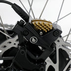 Steves snow store wollongong