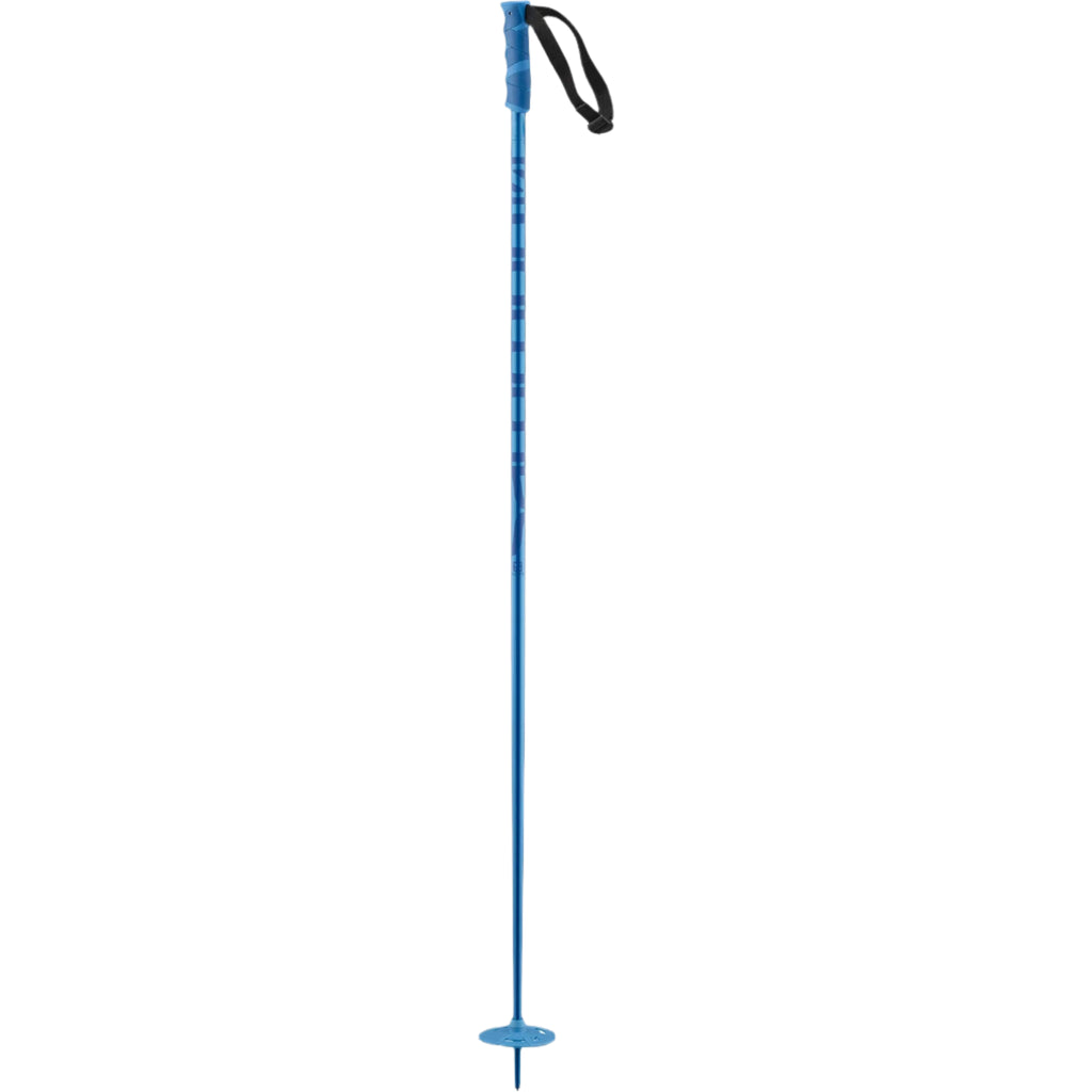 Salomon Hacker Poles