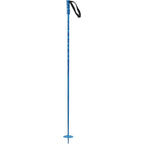 Salomon Hacker Poles