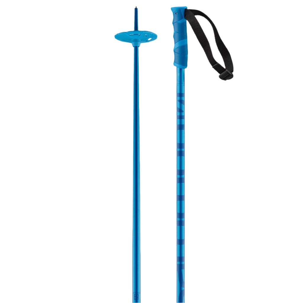 Salomon Hacker Poles