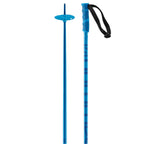 Salomon Hacker Poles