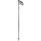 Salomon Polar Pro S3 Poles