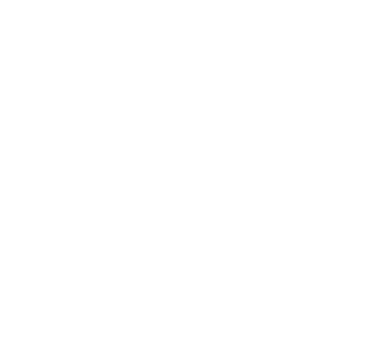 Steves Snow Store