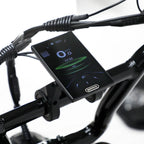 Steves snow store Wollongong